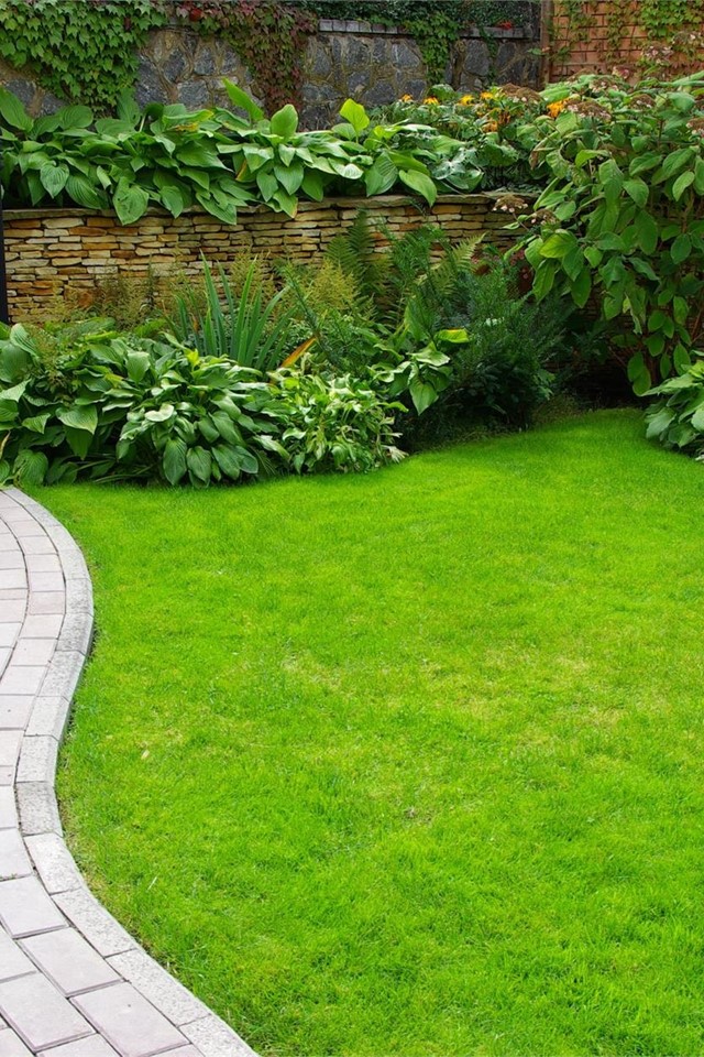 ¡Diseñamos el jardín perfecto para ti!
