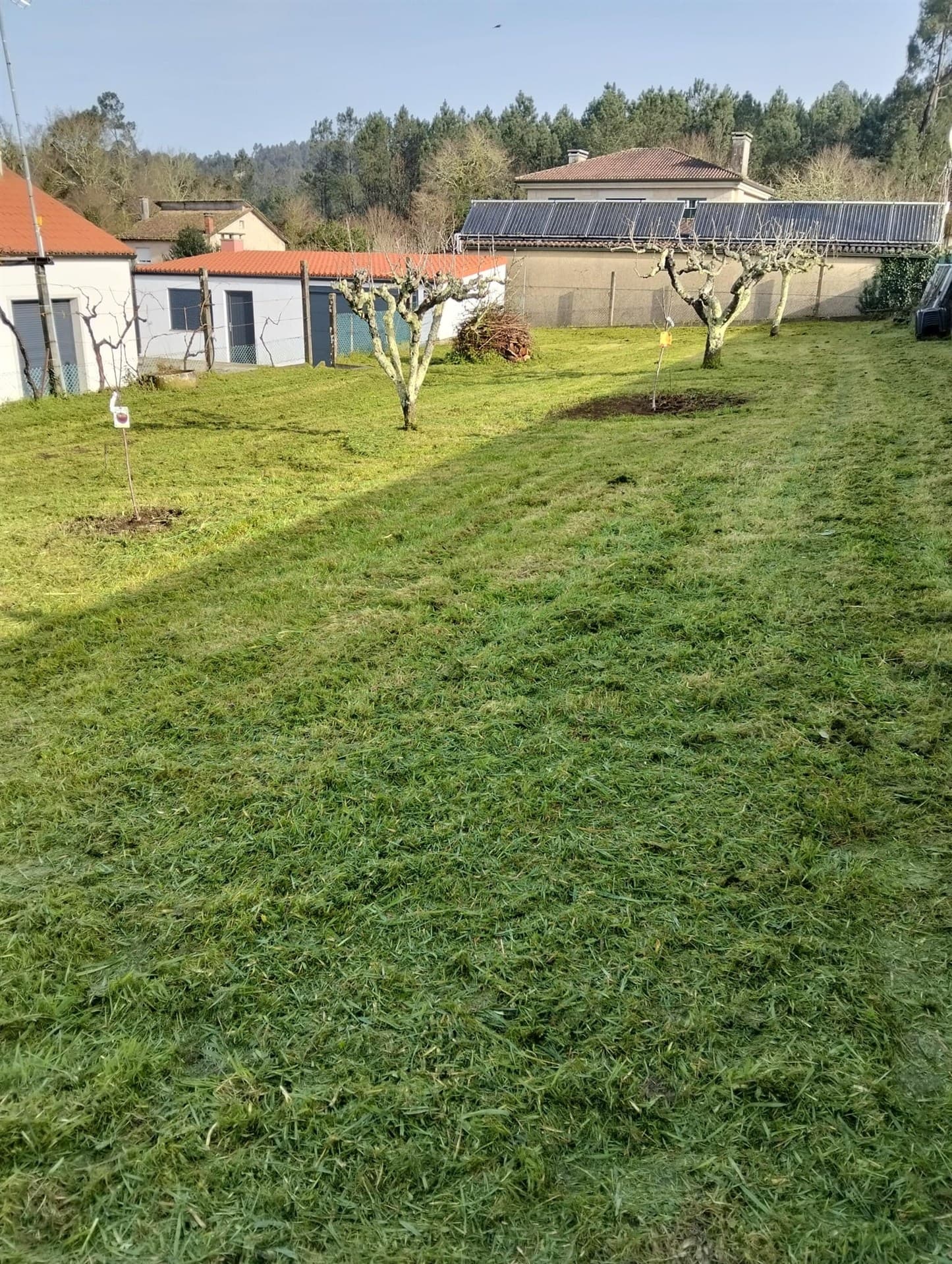 Algunos trabajos de jardinería
