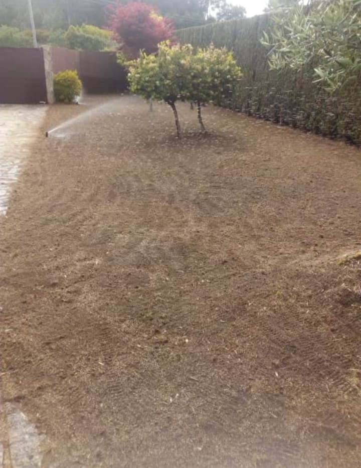 Algunos trabajos de jardinería