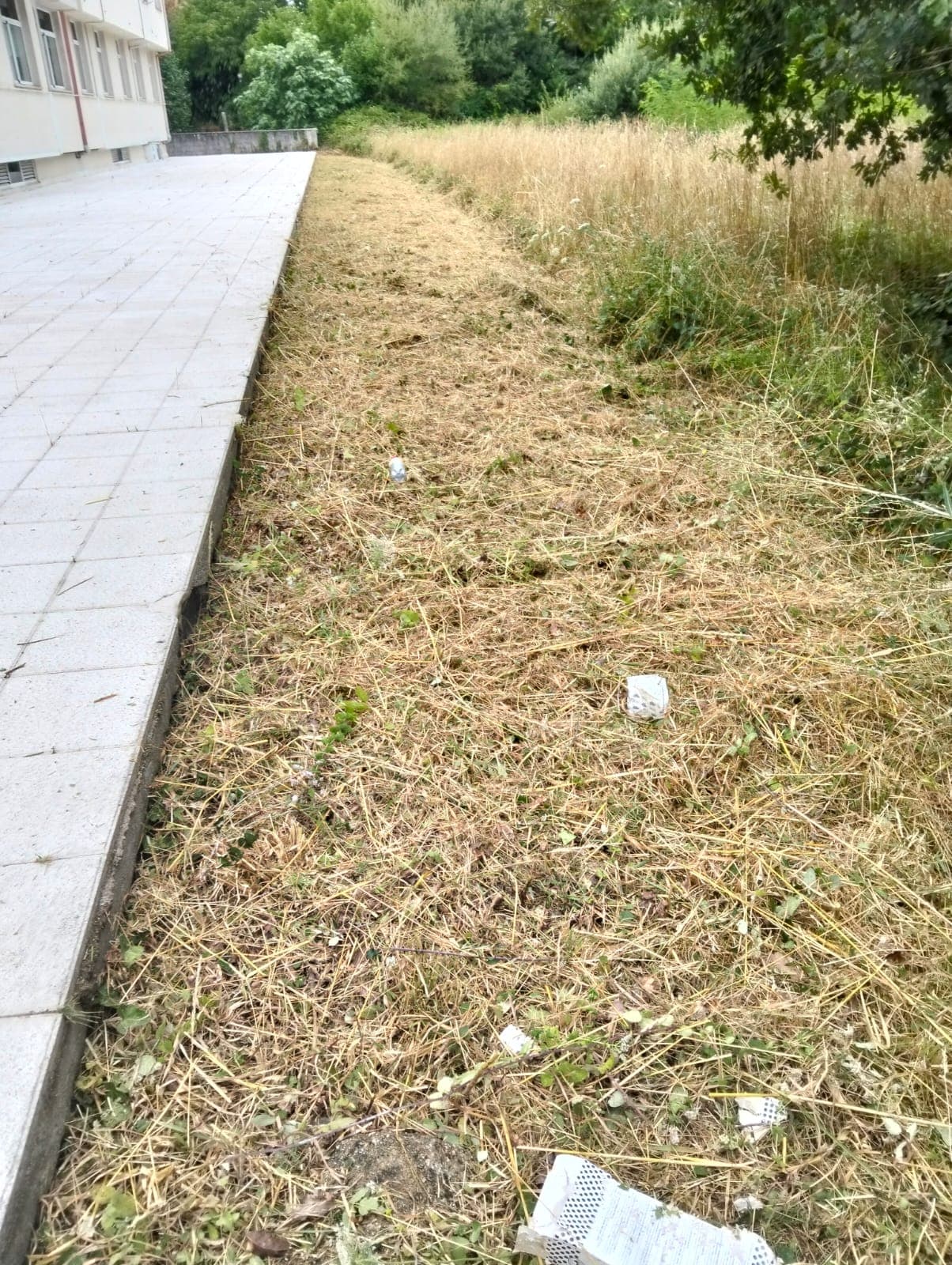 Algunos trabajos de jardinería
