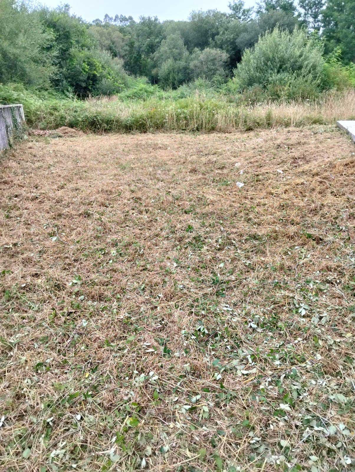 Algunos trabajos de jardinería
