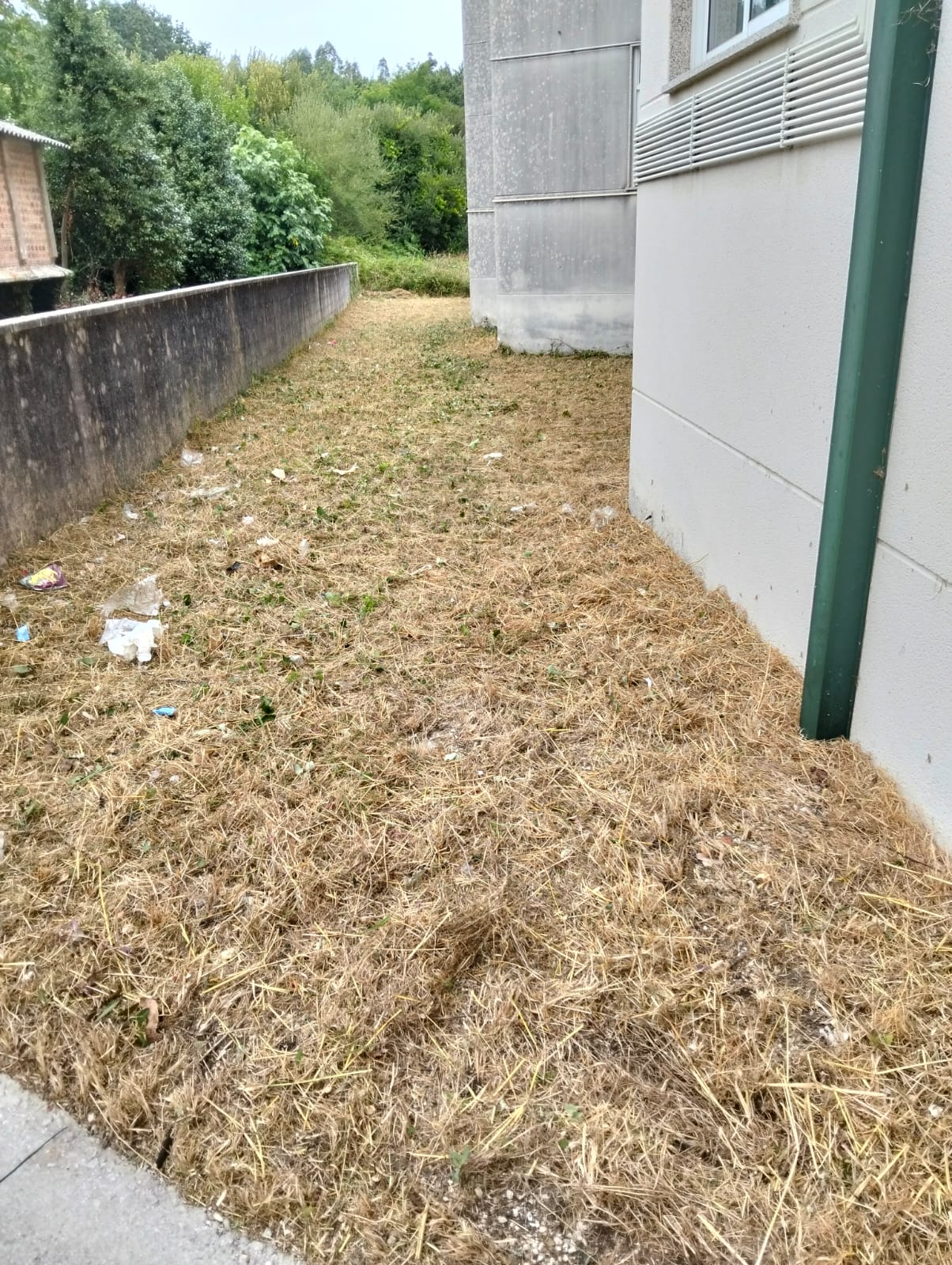 Algunos trabajos de jardinería