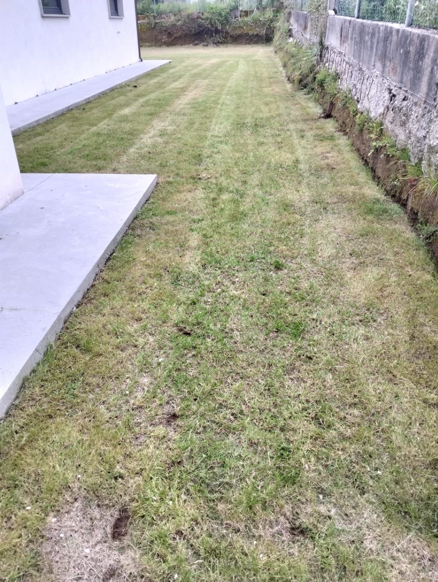 Algunos trabajos de jardinería