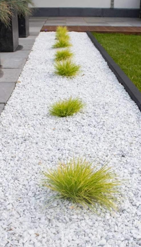 Algunos trabajos de jardinería