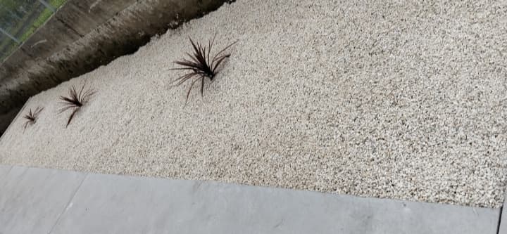Algunos trabajos de jardinería