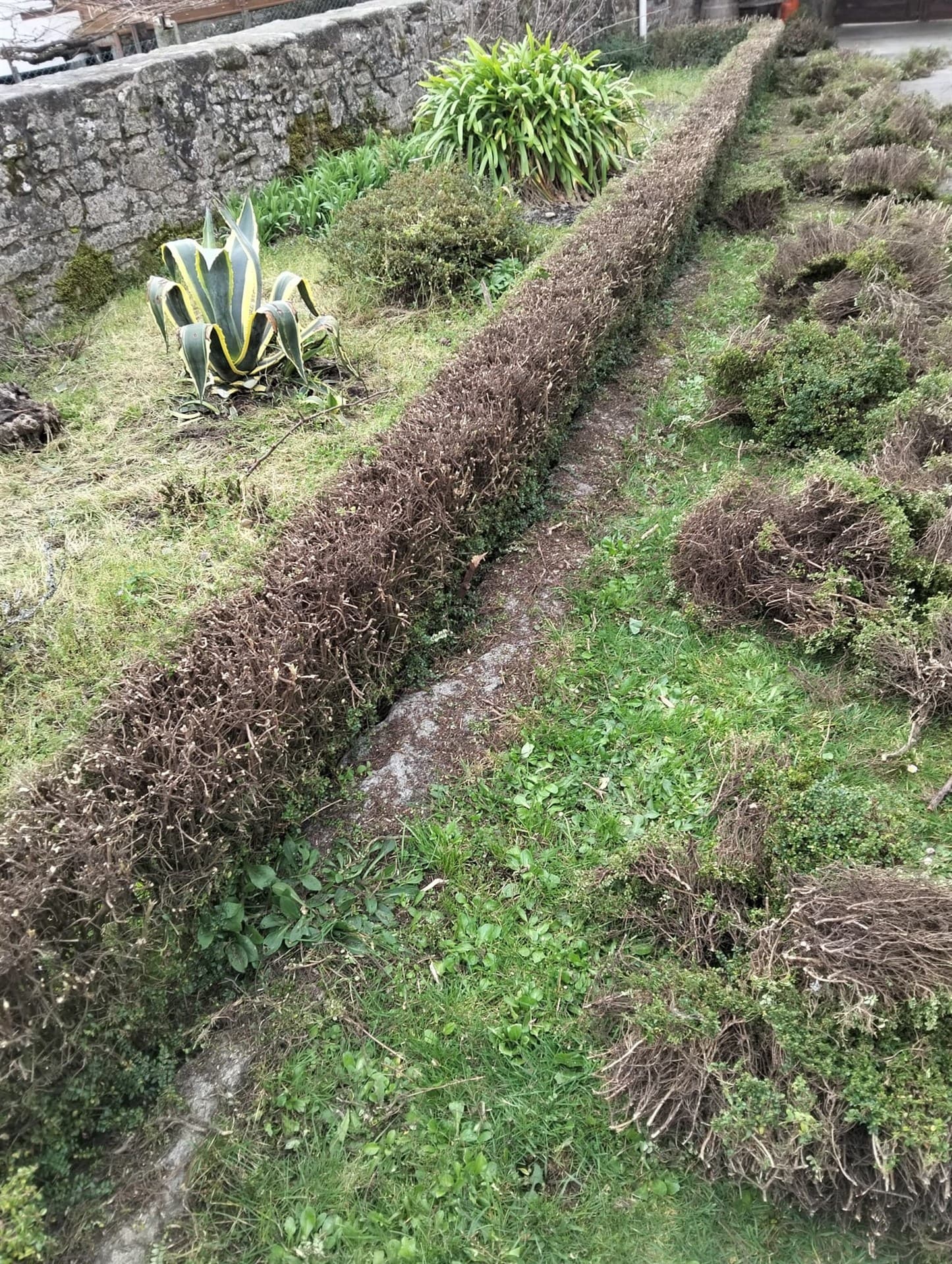Algunos trabajos de jardinería