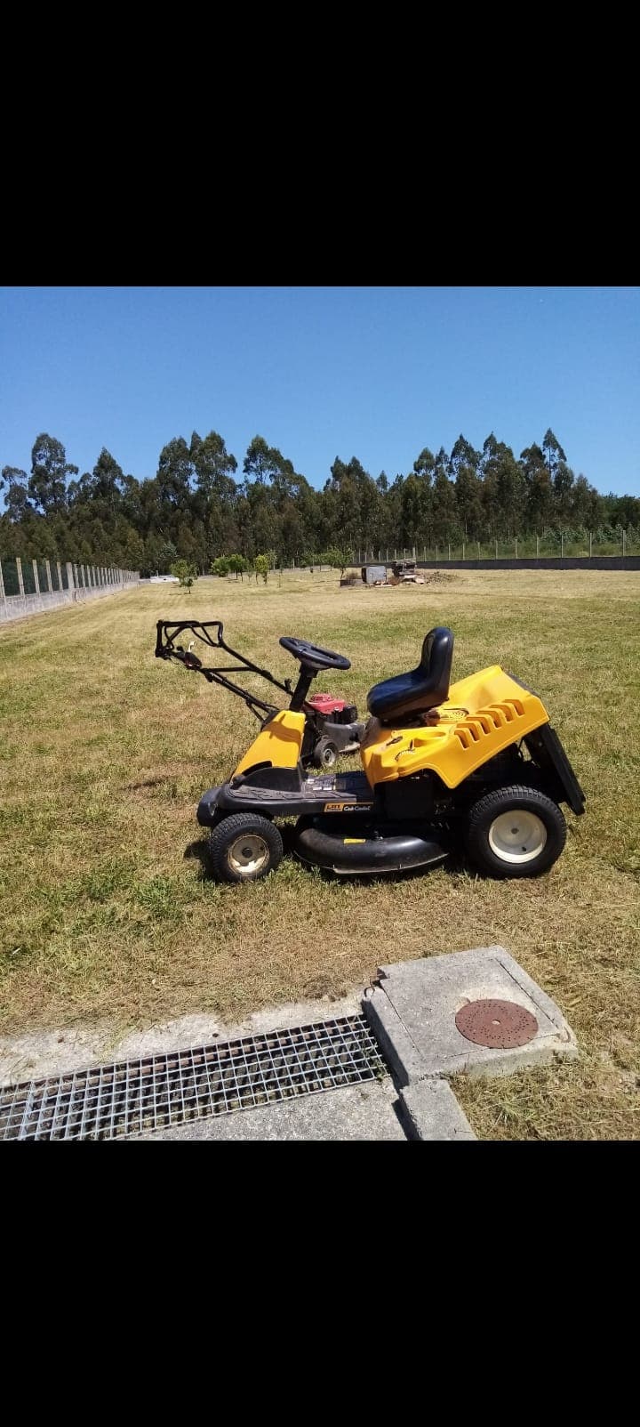 Algunos trabajos de jardinería