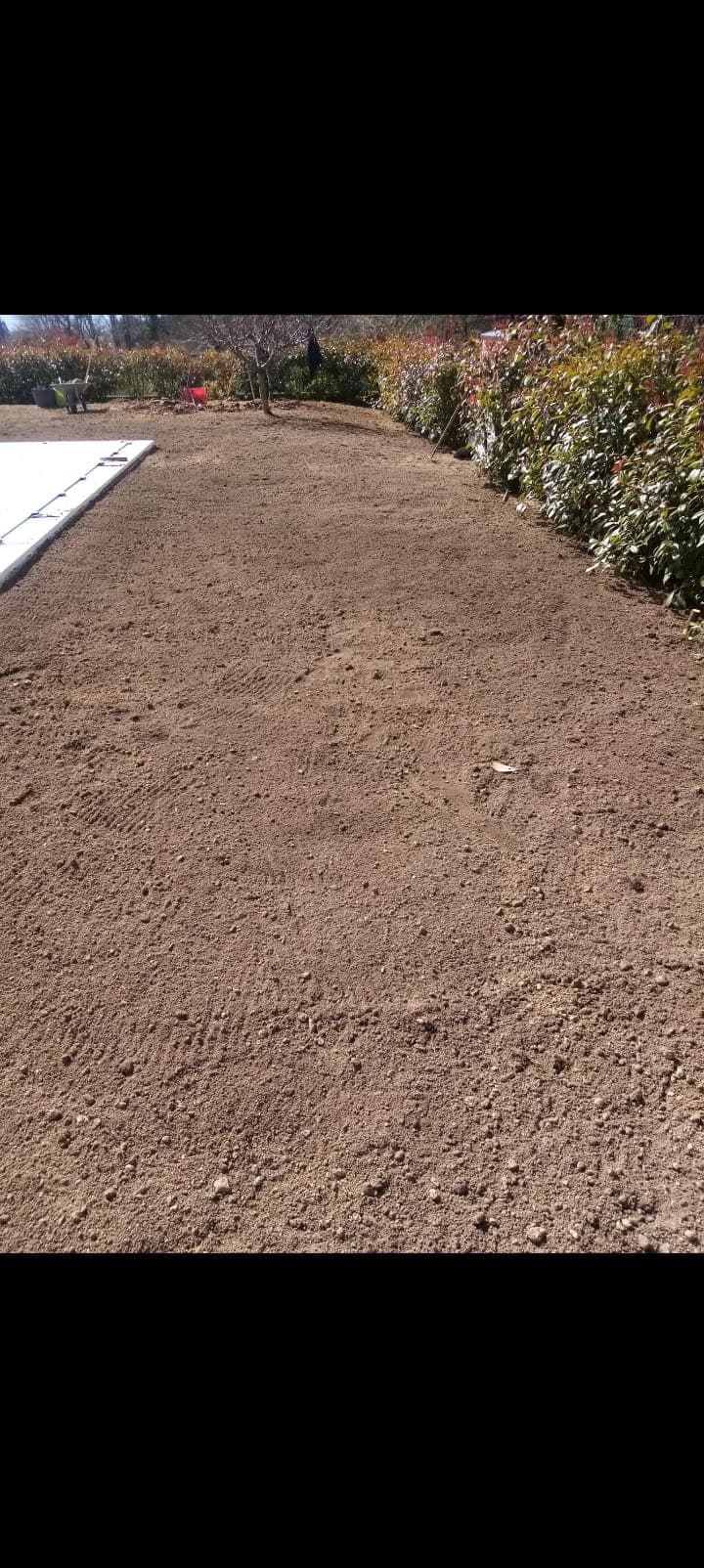 Algunos trabajos de jardinería