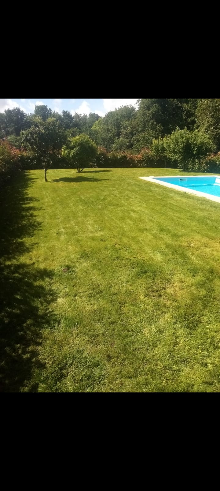 Algunos trabajos de jardinería
