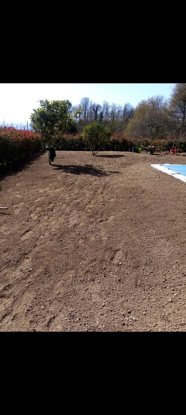 Algunos trabajos de jardinería