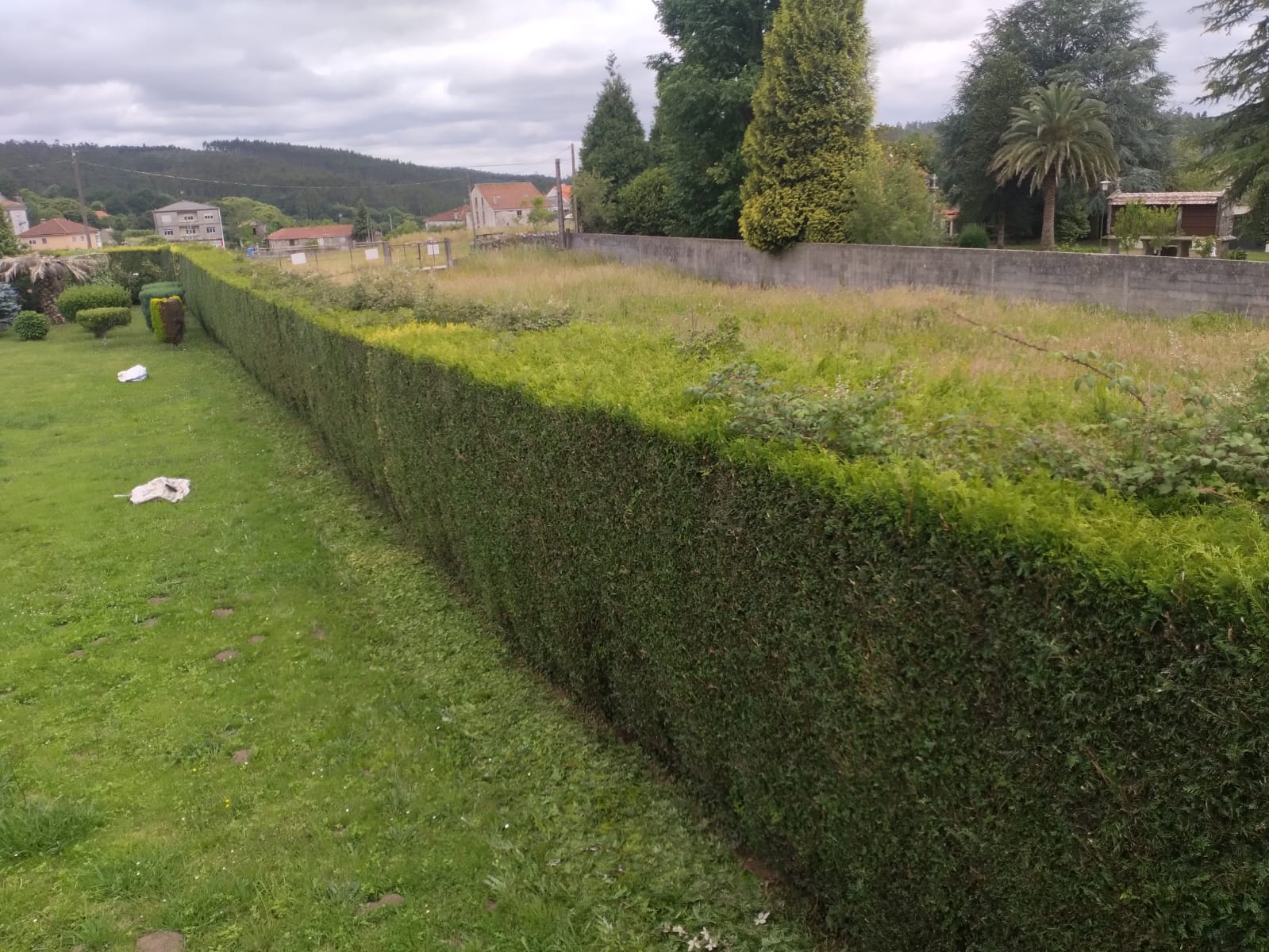 Algunos trabajos de jardinería