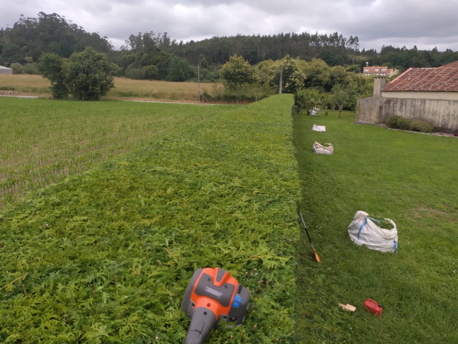 Algunos trabajos de jardinería