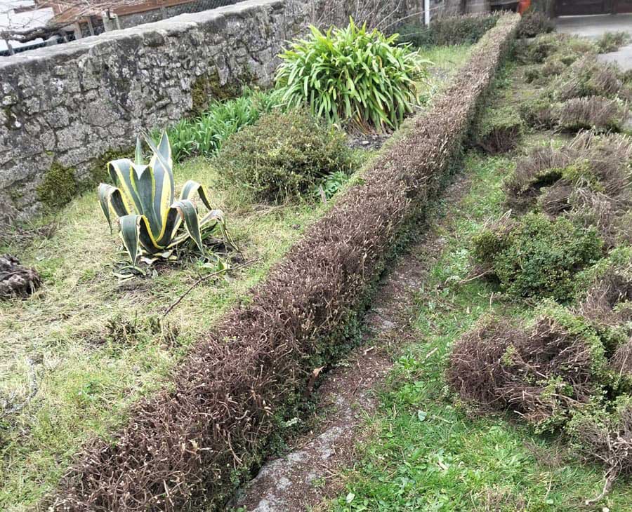 Jardín cuidado por la empresa de jardinería Marcos en Negreira