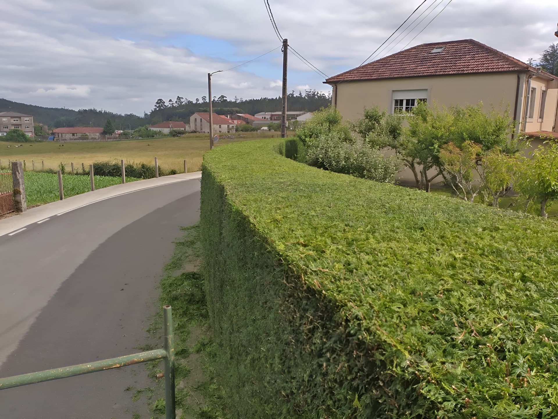 Cuida tus zonas verdes con nuestra empresa de jardinería en Negreira