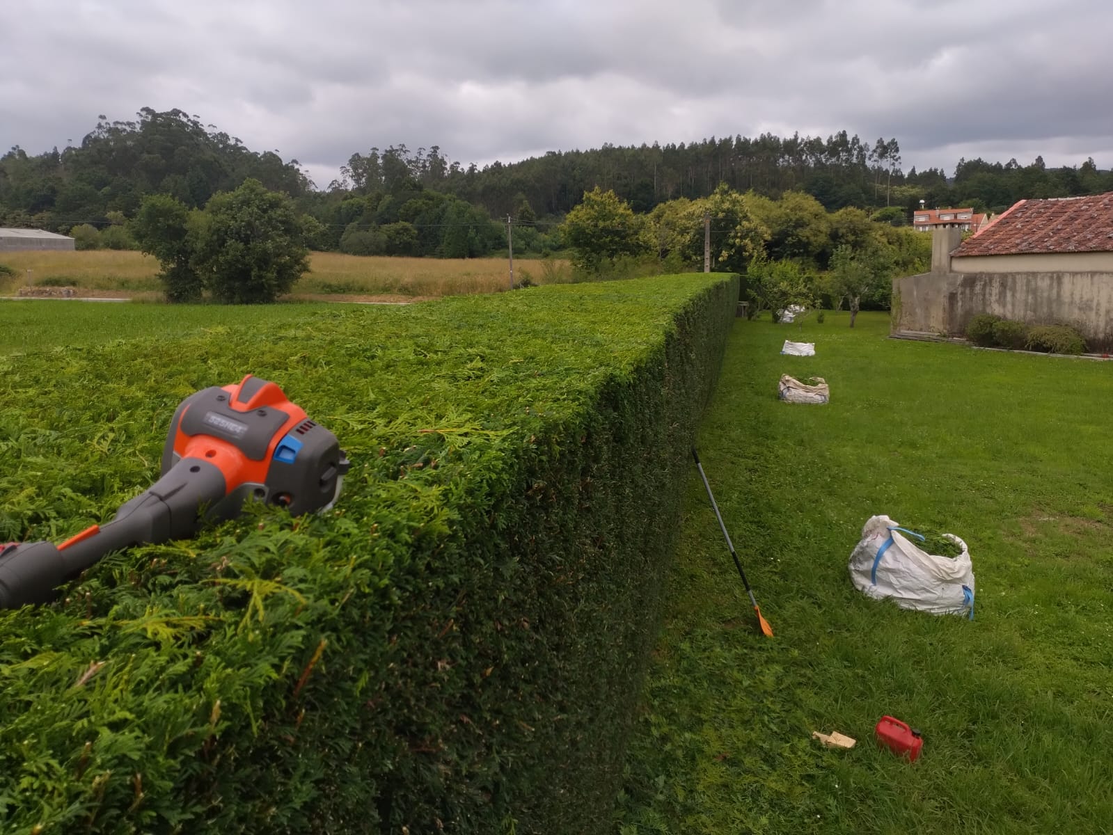 Servicios integrales de jardinería en Negreira, del diseño al desbroce